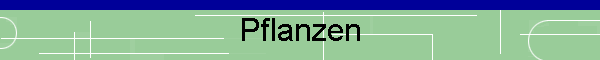 Pflanzen